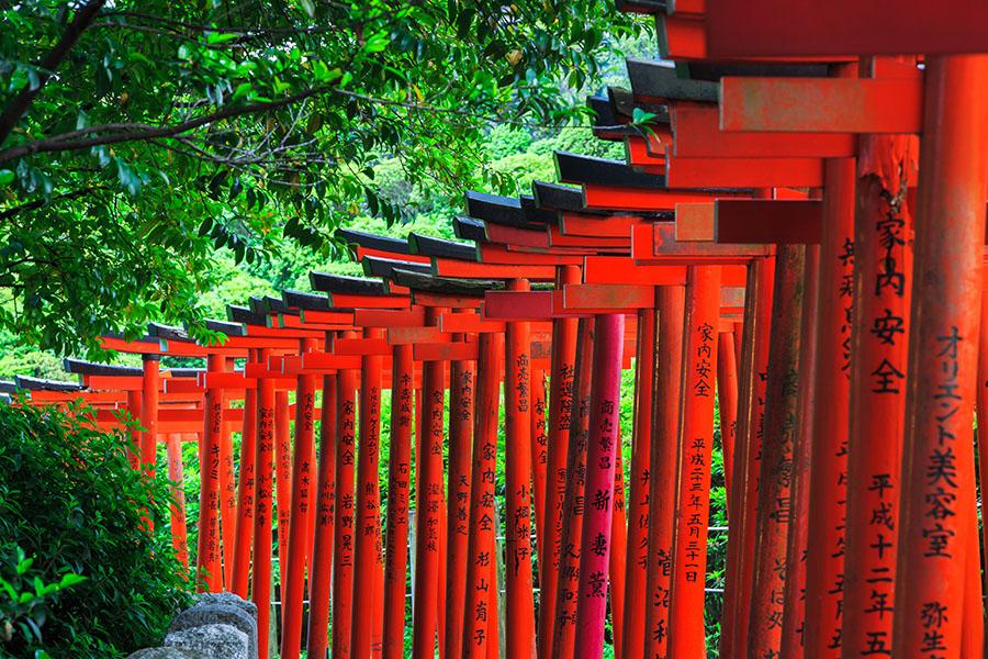 Explore the Shinto shrines in Tokyo | Travel Nation