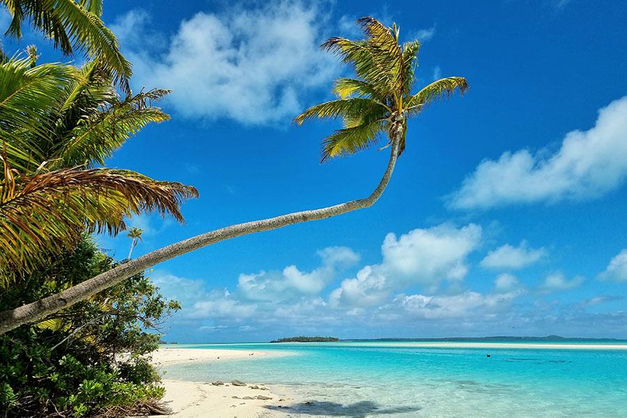 Stroll beneath the palm trees of One Foot Island in Aitutaki | Travel Nation