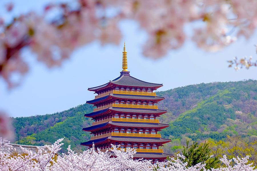 See the replica Hwangnyongsa Temple in Gyeongju | Travel Nation