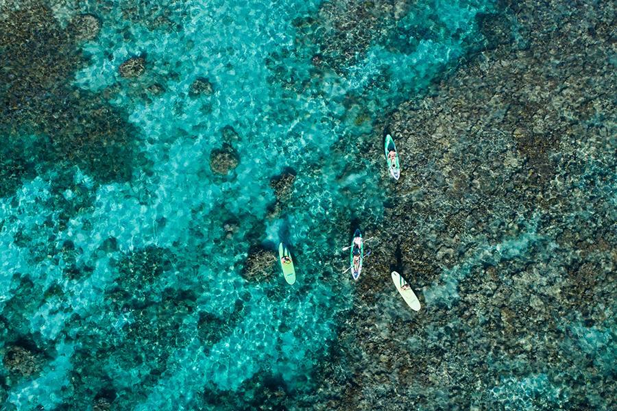 Jump into the clear waters for a swim adventure at Ningaloo Reef at Sal Salis | Photo credit: Sal Salis