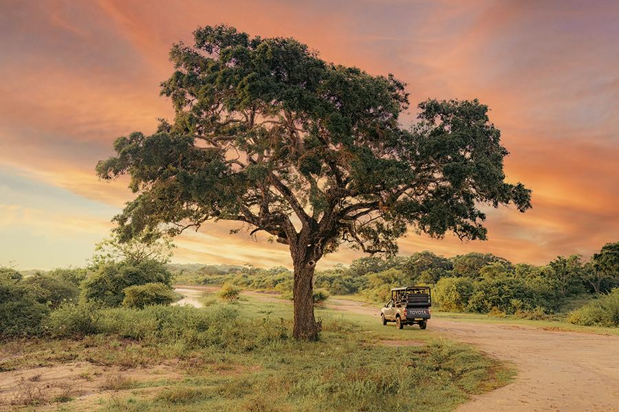 Go for a sunset drive and take in the stunning scenery at Wild Coast Tented Camp | Photo credit: Wild Coast Tented Camp