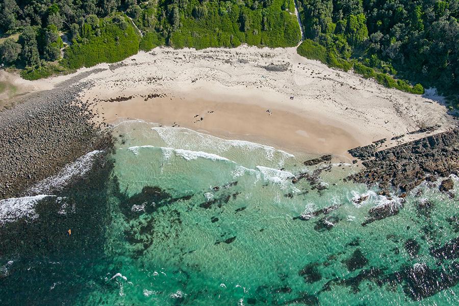 Look for kangaroos at Pebbly Beach as you drive along the coast | Photo credit: Destination New South Wales