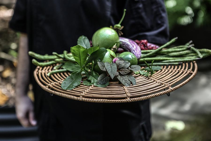 Pick it, plate it, love it — the Kitchen Garden at Silky Oaks Lodge is full of fresh surprises | Photo credit: Silky Oaks Lodge