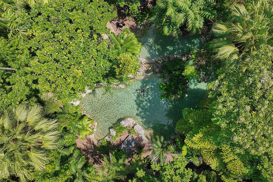 Take a dip in the rainforest-surrounded Swimming Pool at Silky Oaks Lodge | Photo credit: Silky Oaks Lodge