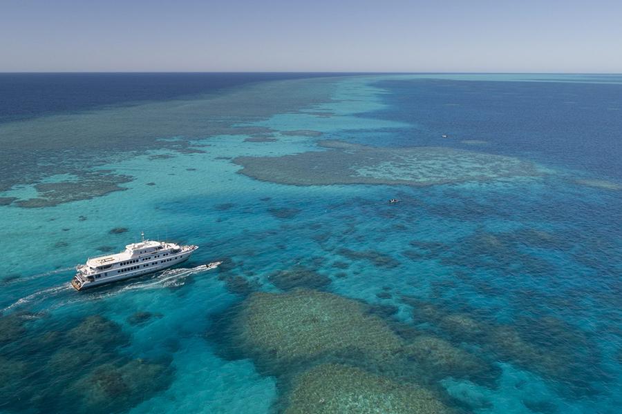 Explore Rowley Shoals off the Kimberley Coast with True North Cruises | Photo credit: True North