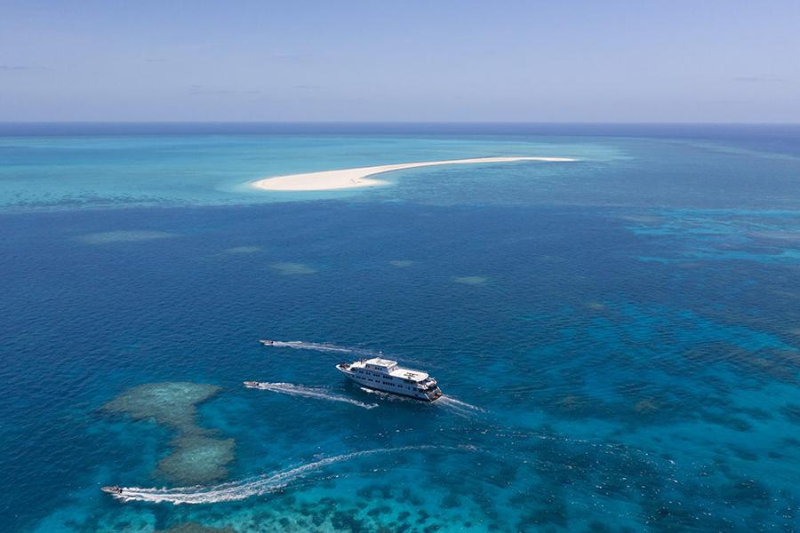 Snorkel on the Rowley Shoals with True North Cruises | Photo credit: True North