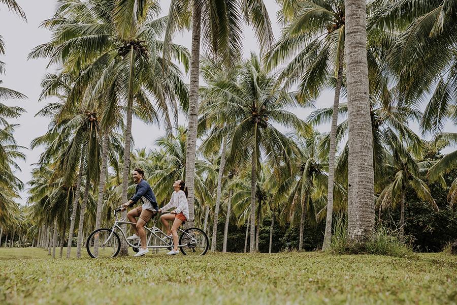 Cycle under the trees at Thala Beach Nature Reserve | Photo credit: Tourism and Events Queensland