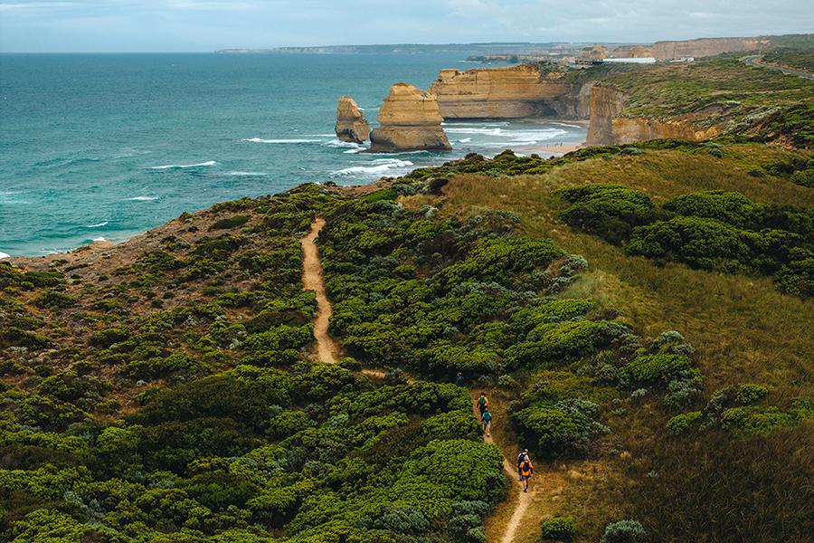 Admire the spectacular views on the Twelve Apostles Signature Walk | Photo credit: Great Walks of Australia