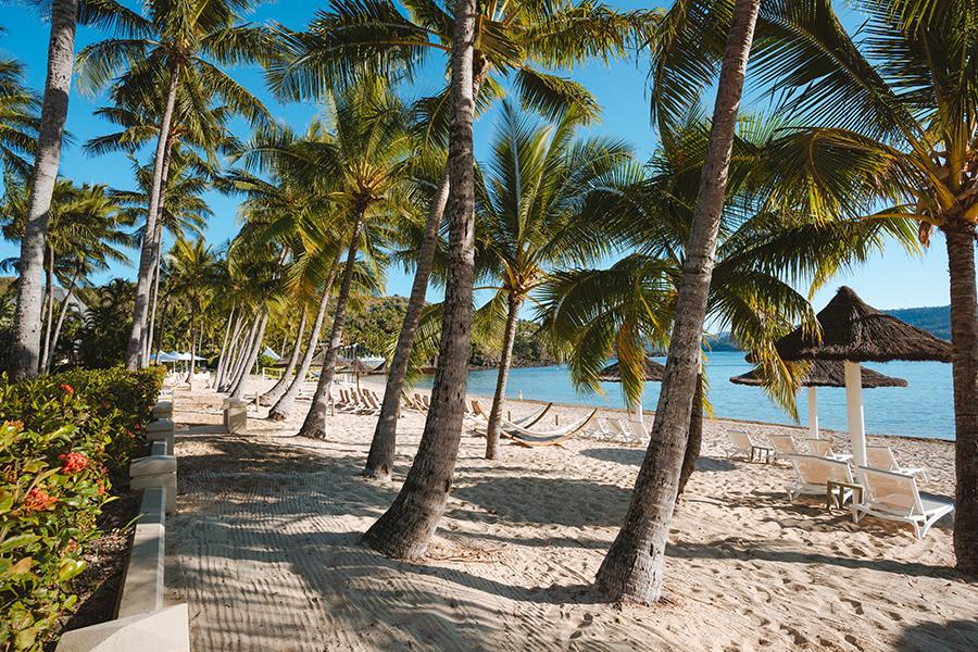 Relax in on the beaches at Hamilton Island Beach Club | Photo credit: Tourism & Events Queensland
