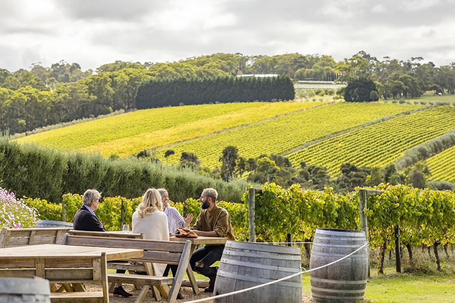 Sip wine at Montalto Vineyard in the Mornington Peninsula | Photo credit: Visit Victoria