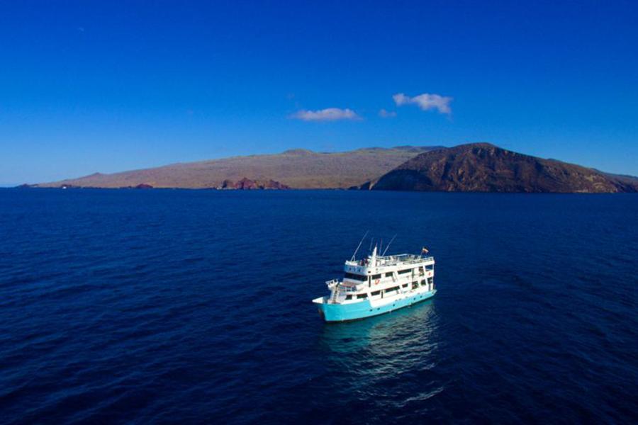 Dive in the remote islands of Wolf and Darwin in the Galapagos from the motor yacht Aqua | Travel Nation