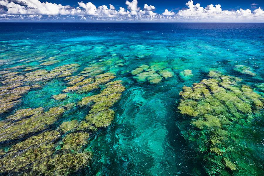 Explore Samoa's coral reefs | Travel Nation