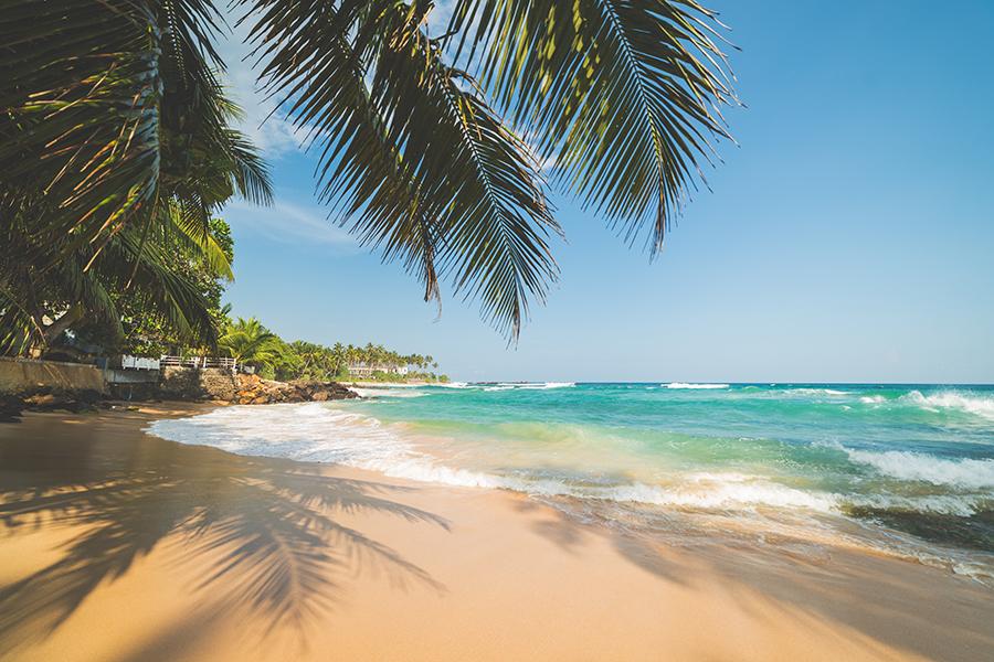 Relax on the golden sands of Mihiripenna Beach | Travel Nation
