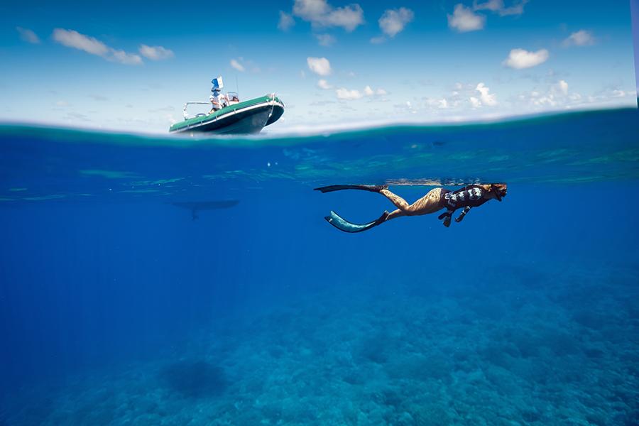 Snorkel and dive in the underwater paradise of Fakarava | Travel Nation