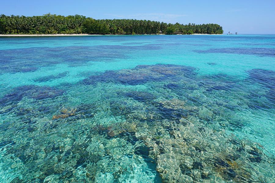 Snorkel in the turquoise waters around Zapatilla Cays | Travel Nation