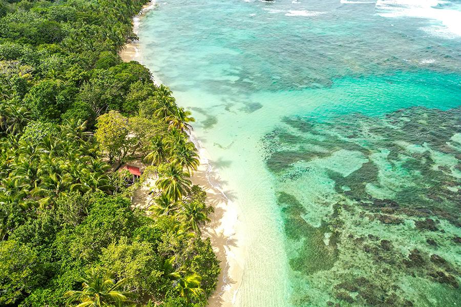 Stroll along white sand beaches in Bocas del Toro | Travel Nation