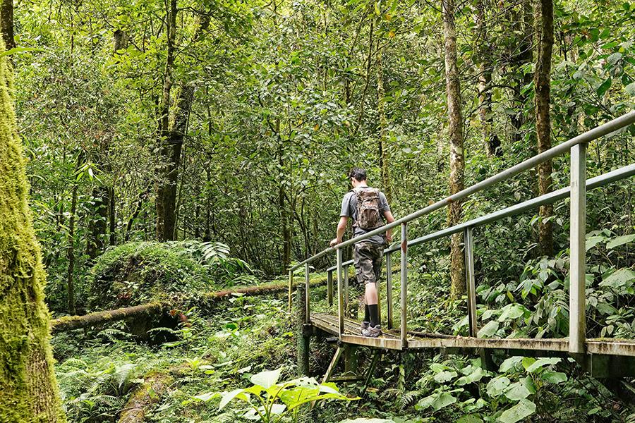Hike the Pipeline Trail in the highlands around Boquete | Travel Nation