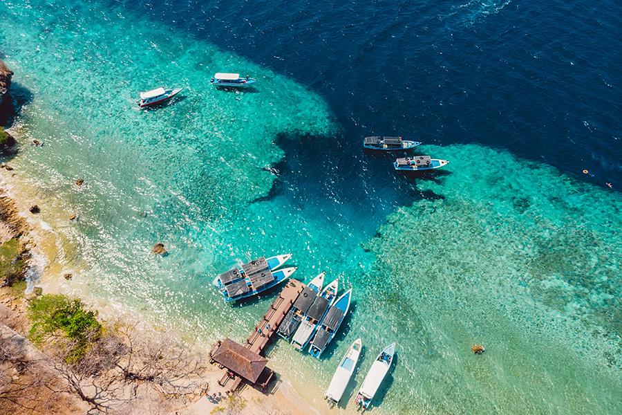 Discover the stunning coral reef garden of Menjangan Island, Indonesia | Travel Nation
