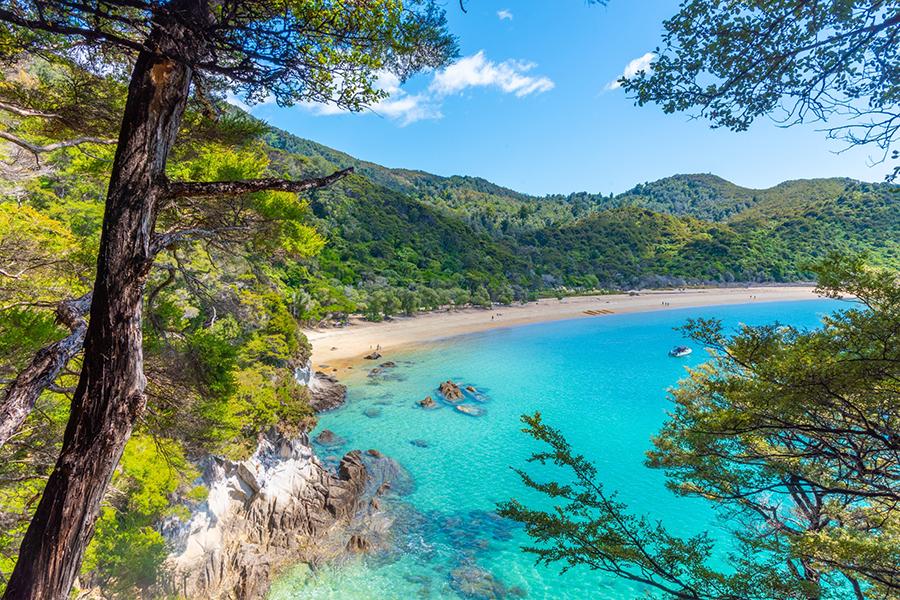 Discover the golden sands of Onetahuyi beach in Abel Tasman National Park, New Zealand | Travel Nation 