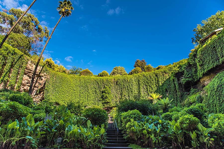 Visit the Umpherston sinkhole along the Great Ocean Road | Travel Nation