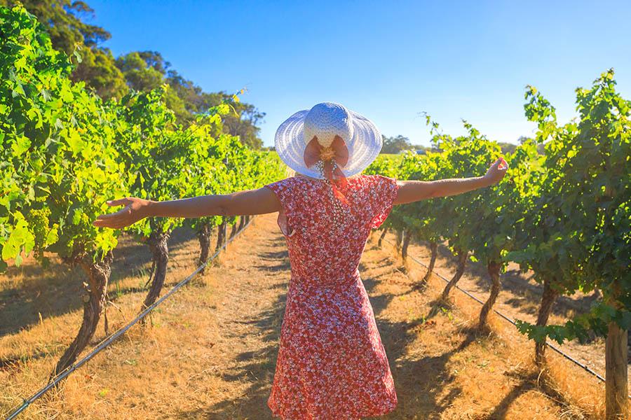 Taste wine in the vineyards of Margaret River | Travel Nation