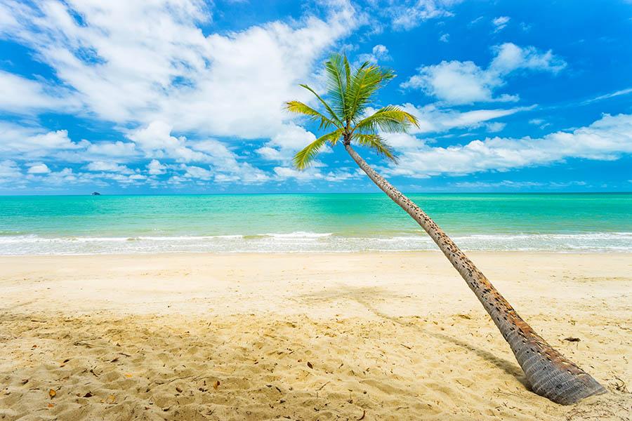 Explore postcard-perfect beaches in Cape Tribulation| Travel Nation