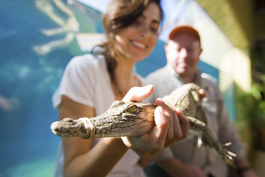 Lady holding a baby croc | Credit: Peter Eve & Tourism NT
