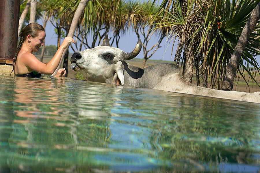 Get up close and personal with the local wildlife at Bamurru Plains | Credit: Luxury Lodges of Australia
