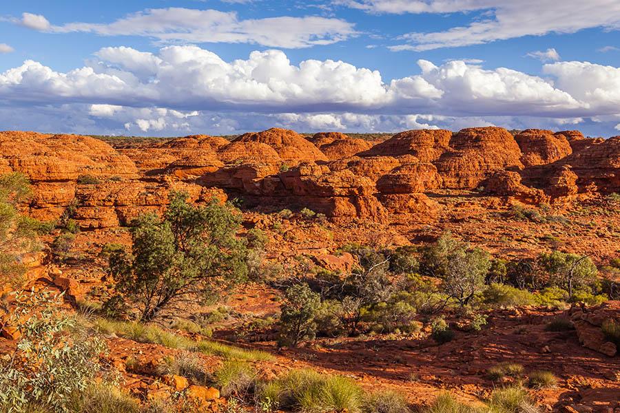 Explore the amazing landscape of King's Canyon | Travel Nation