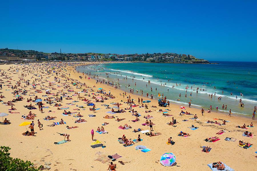 Soak up the sun on Bondi Beach | Travel Nation