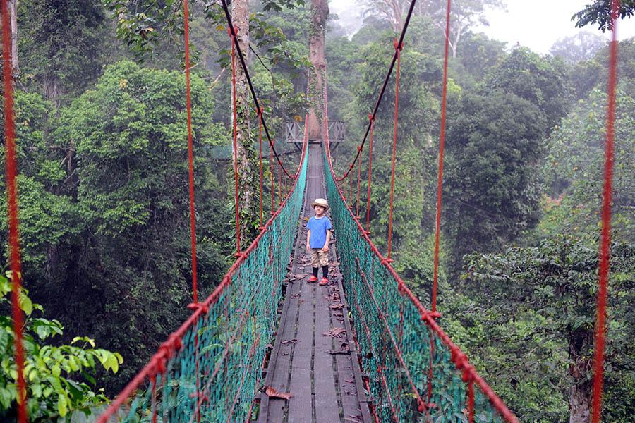 Enjoy an afternoon walk on the canopy trail