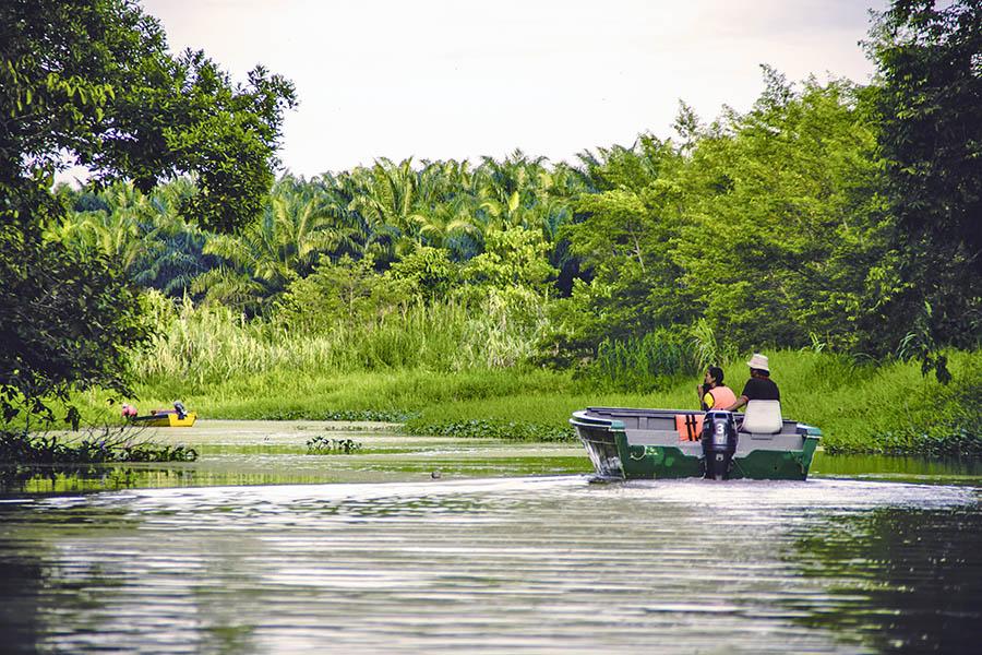 The Kinabatangan River boasts one of the highest concentrations of wildlife in the region
