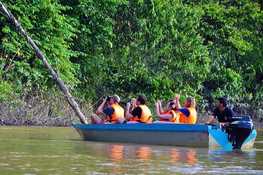 Head out on the river later in the day to look for primates