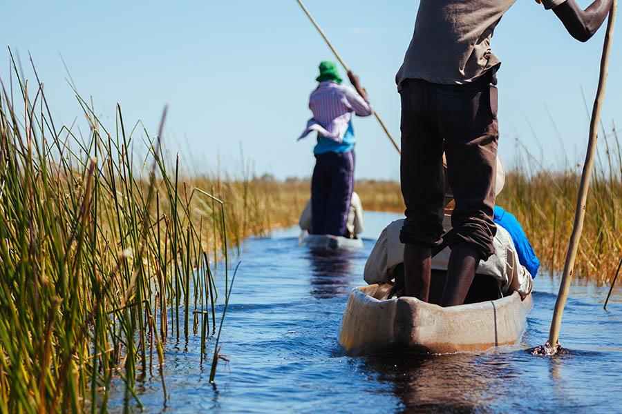 Glide through the Okavango Delta in a mokoro | Travel Nation