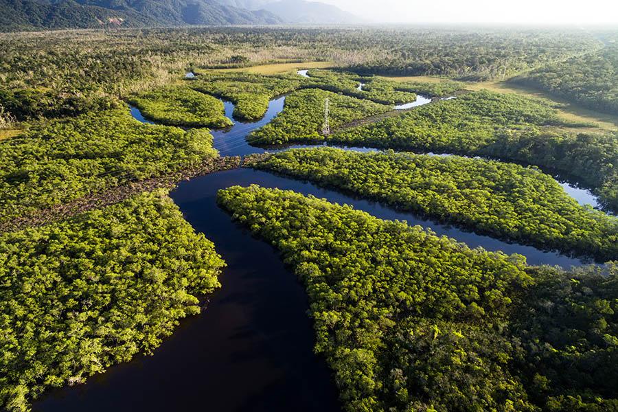 Explore the waterways of the Amazon jungle in Brazil | Travel Nation
