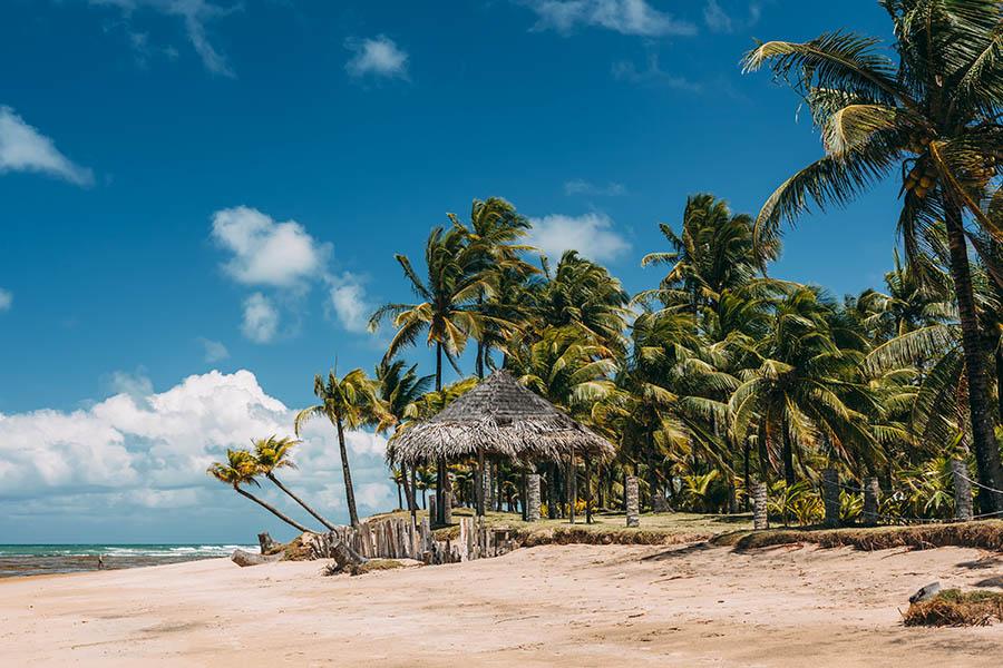 Soak up the sunshine on the unspoilt beaches of the Marau Peninsula | Travel Nation