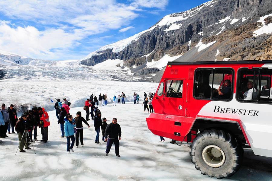 Stand on the snow and ice of the Columbia Icefields