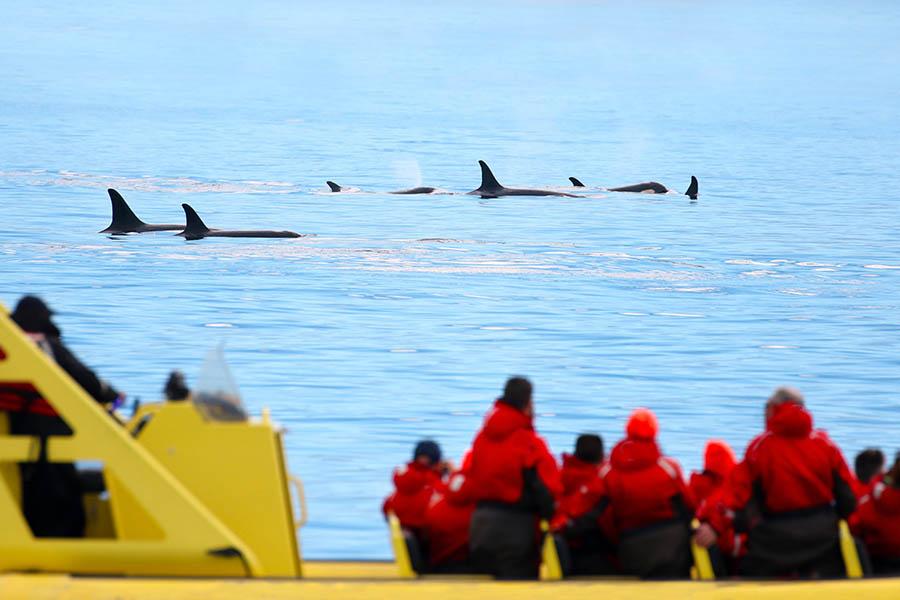 This will be a wonderful day of wildlife watching with your family!