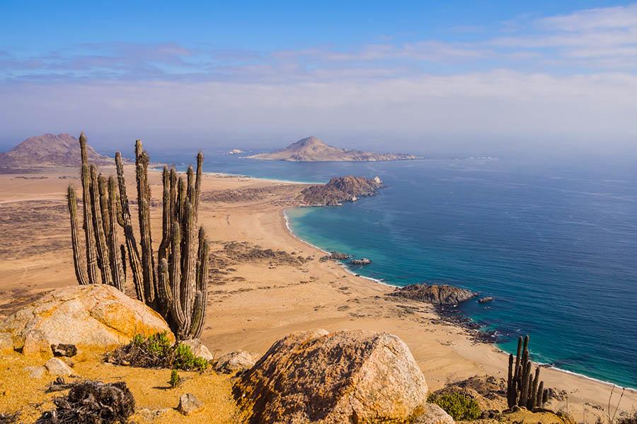Explore Pan de Azucar National Park in Chile | Travel Nation