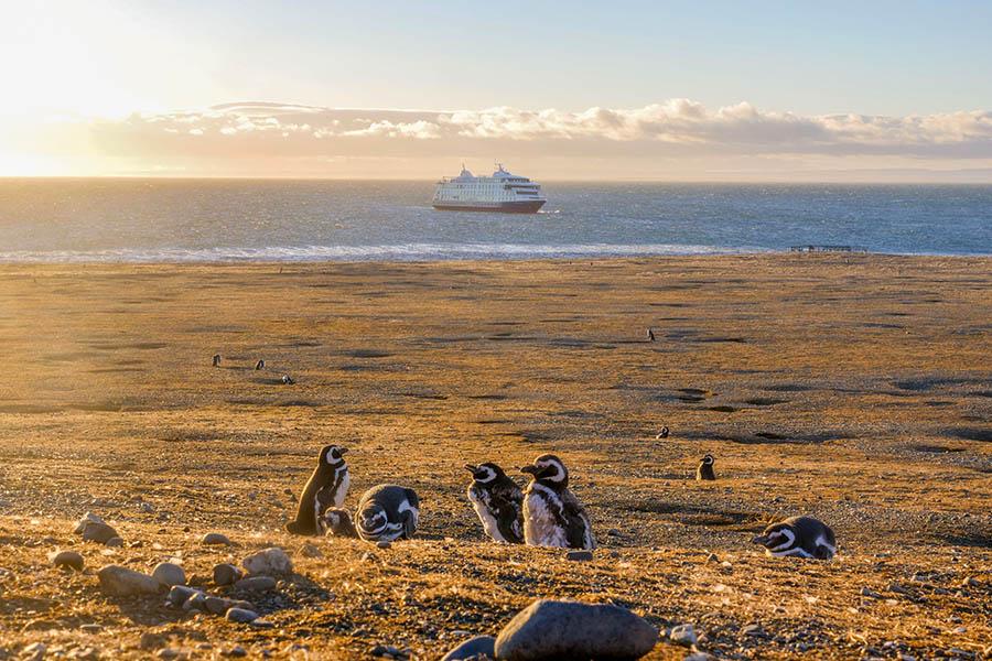 Sail past stunning scenery on an Australis Cruise | Photo credit: Australis Cruise