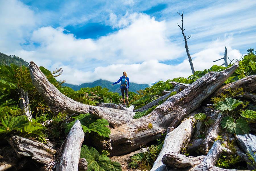 Go hiking in Chile's Cerro Castillo National Park | Travel Nation