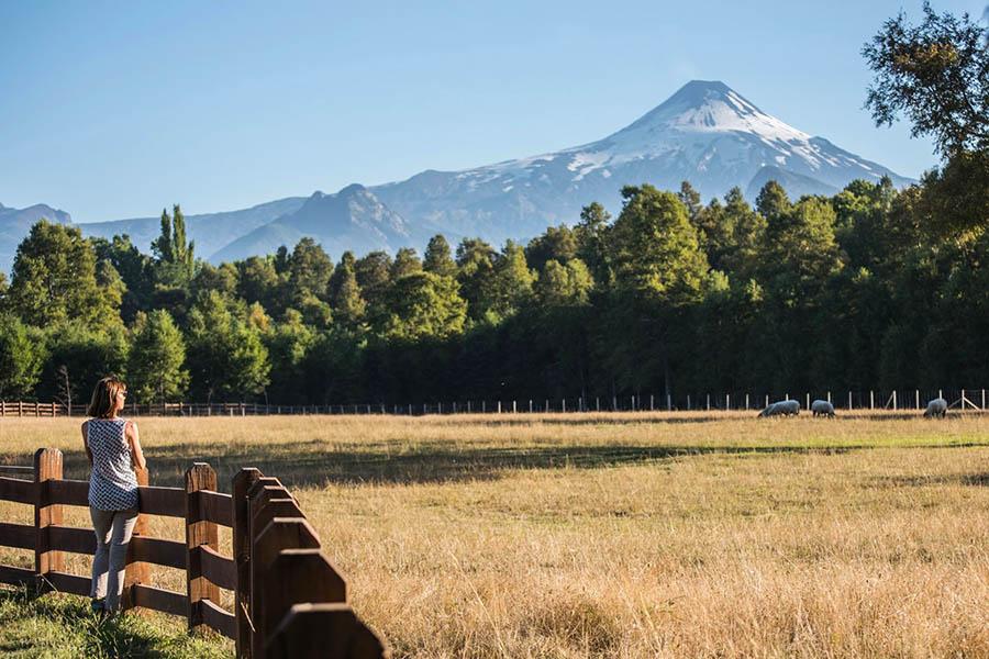 Stare up at Villarica Volcano in the distance: Credit Vira Vira Hacienda Hotel
