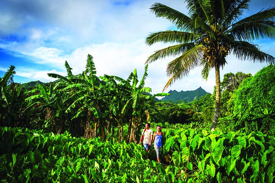 Explore the lush interior of Rarotonga | Photo credit: Kirklandphotos