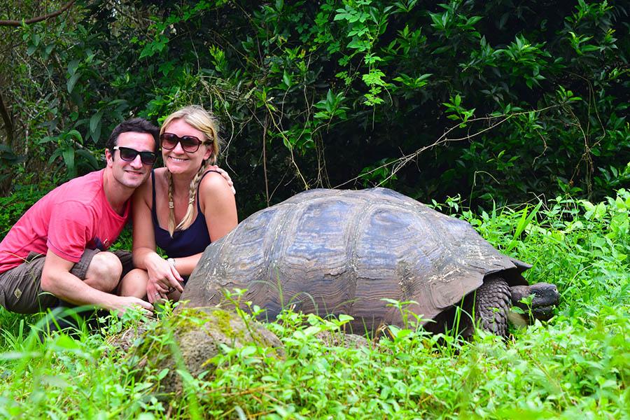 See giant tortoises in the Galapagos Islands | Travel Nation