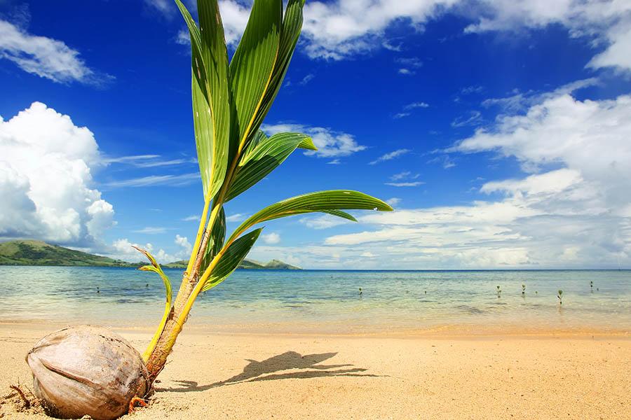 Laze on the beaches of the Coral Coast, Viti Levu | Travel Nation