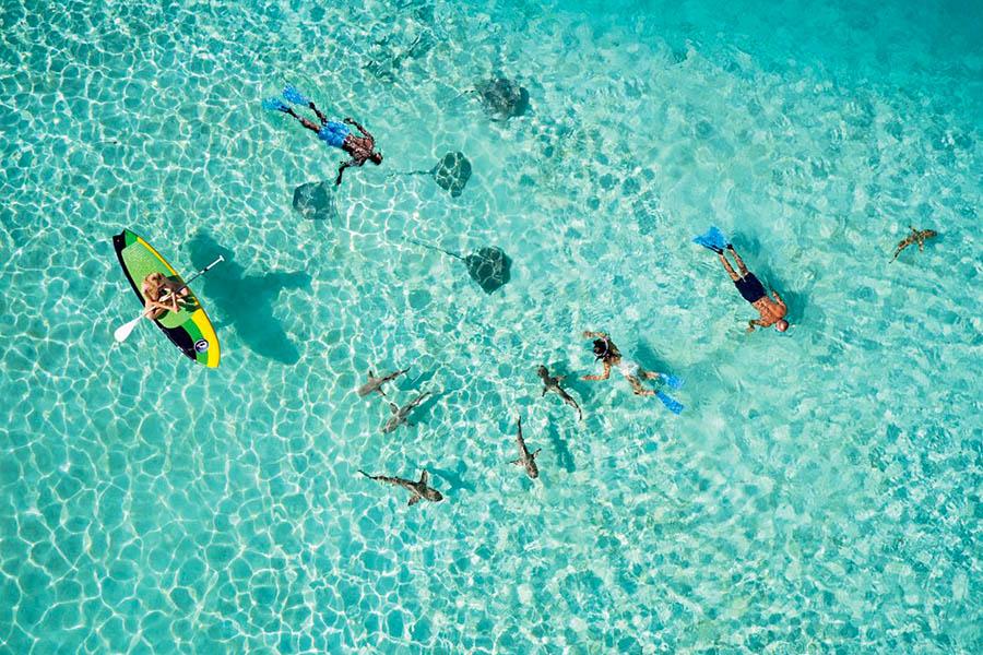 Spend your days enjoying the waters of French Polynesia on a Paul Gauguin cruise | Photo credit: Paul Gauguin Cruises