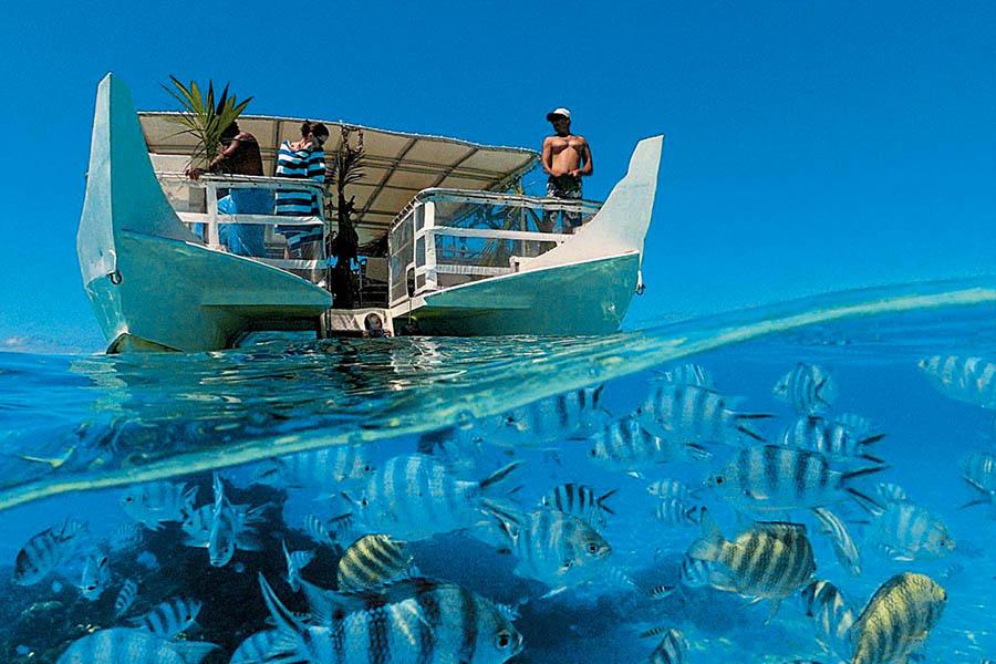 Snorkel and dive amongst amazing marine life on a Paul Gauguin Cruise | Photo credit: Paul Gauguin Cruises