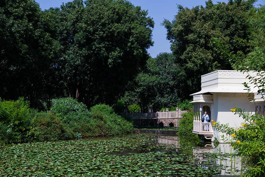 Wake up to wonderful views at the Oberoi Vanyavilas Wildlife Resort | Photo credit: Oberoi Vanyavilas Wildlife Resort