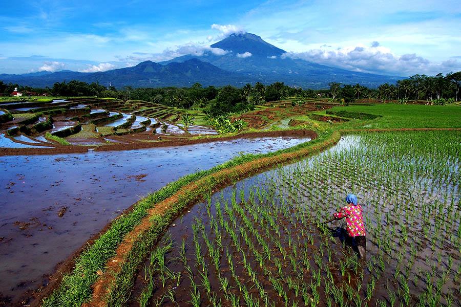Beautiful scenery in Java on the way to Mount Bromo | Travel Nation