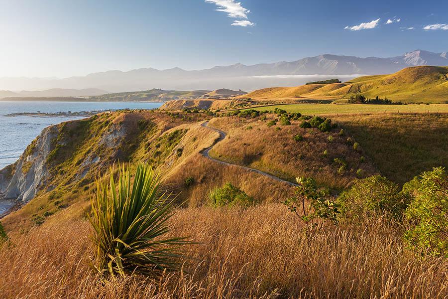 Drive through the beautiful Kaikoura Peninsula | Travel Nation